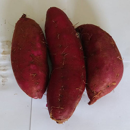 Batata Doce Roxa (Beterraba)